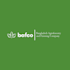design brand identity and logo design