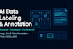 provide precise ai data annotation and data labeling