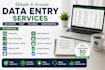 do accurate excel data entry, copy paste and PDF conversions