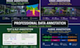 provide video annotation, object tracking, and ai data labeling