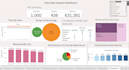 do excel data cleaning, data analysis and dashboard