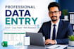 do any data entry and web research job