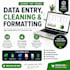 do accurate excel data entry and formatting