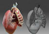 create 3d medical animation, surgical animation, anatomy