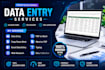 accurate data entry, copy paste, web research and excel data entry