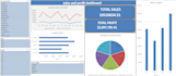 do data analysis, excel dashboard an data visualization
