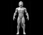 build printable 3d model from ai generated image, fix stl, articulated toy model