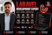 develop laravel web app rest API and admin panel