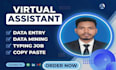 do accurate data entry, data mining, copy paste, and virtual assistant tasks