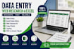 do accurate data entry,web research, and excel data entry