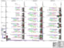 electrical design and all elv design 2d autocad