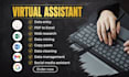 be your personal virtual assistant for data entry and management