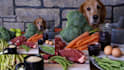develop custom pet food formula and animal nutrition product formulation