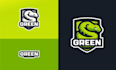 design awesome mascot logo