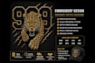 fast and accurate embroidery digitizing dst pes files