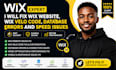 fix wix website, wix velo code, database errors and speed issues