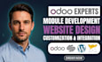 be your odoo expert odoo website design odoo ecommerce odoo erp developer module