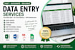do accurate data entry, excel, copy paste and web research
