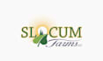 design modern and professional agriculture logo