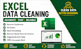 do professional data cleaning, excel formatting, and deduplication
