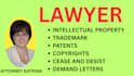 provide intellectual property legal support for startups
