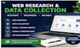 do professional web research, lead generation and data collection