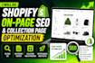 shopify on page SEO and collection page optimization