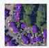 do image annotation, data labeling, and clean coco dataset for cvat