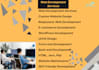build responsive custom web development and website design