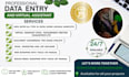 do any fast data entry, accurately for you