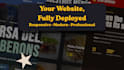 develop and launch your fully professional website