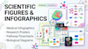 create scientific figures, infographics, and flowcharts