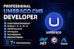 develop, customize, upgrade, and fix your umbraco cms website