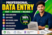 do professional data entry