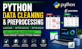 clean and preprocess data using python pandas