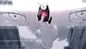 do any manga animation