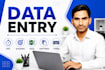 do accurate data entry, copy paste, typing and web research
