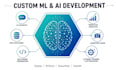 develop custom machine learning models and data cleaning,