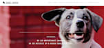 build a shopify pet store, pet shopify store and pet website