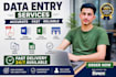 do data entry ms word excel CV resume and fast typing