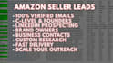 do amazon seller lead generation