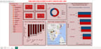 create professional power bi dashboards and data visualizations