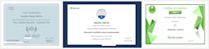 provide remote IT support and network troubleshooting