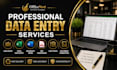 do fast and accurate data entry