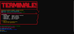 conduct comprehensive network penetration testing and vulnerability asses