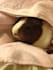 answer your question about guinea pig adoption or care