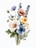 illustrate best botanical illustration