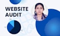 provide website technical SEO audit report