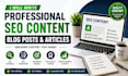 write professional SEO content, blog posts and articles