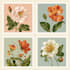 illustrate best botanical illustration